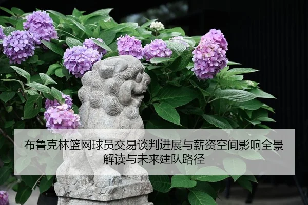 bu-lu-ke-lin-lan-wang-qiu-yuan-jiao-yi-tan-pan-jin-zhan-yu-xin-zi-kong-jian-ying-xiang-quan-jing-jie-du-yu-wei-lai-jian-2-139.jpg