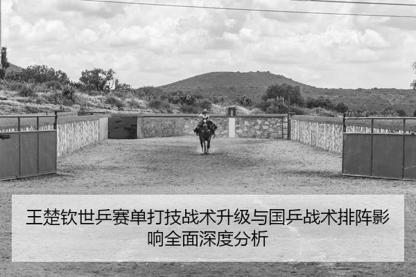 wang-chu-qin-shi-ping-sai-dan-da-ji-zhan-shu-sheng-ji-yu-guo-ping-zhan-shu-pai-zhen-ying-xiang-quan-mian-shen-du-fen-xi-2-226.jpg